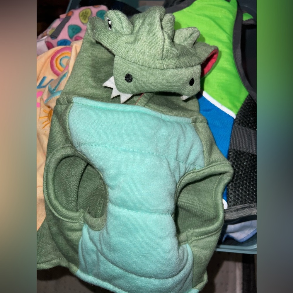 Dog crocodile hoodie